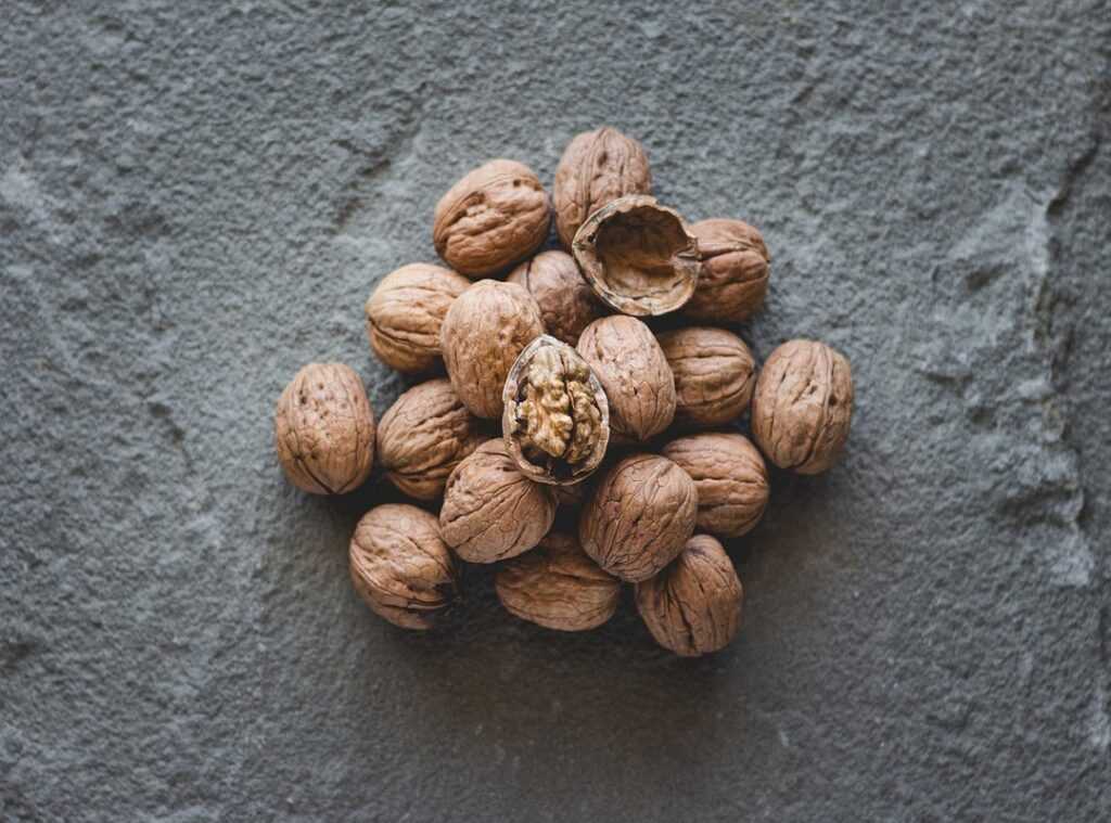 seeds daily snack routine
