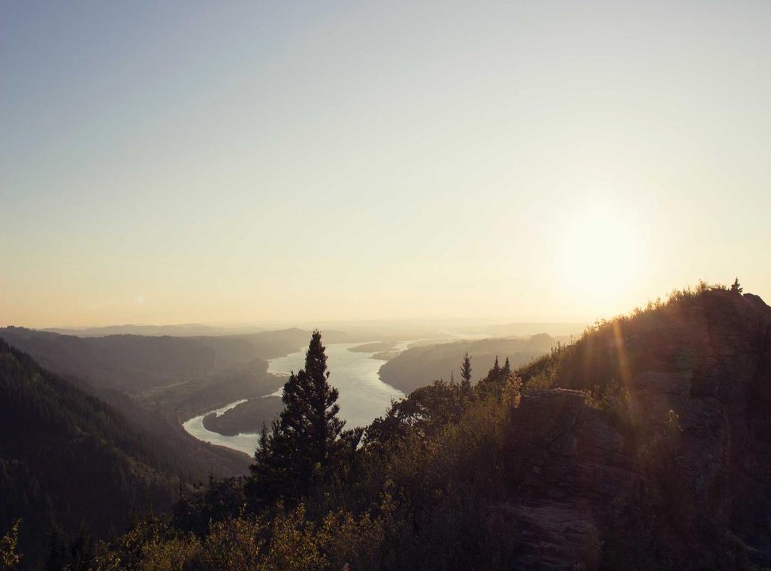 Frequently Asked Questions (FAQs)