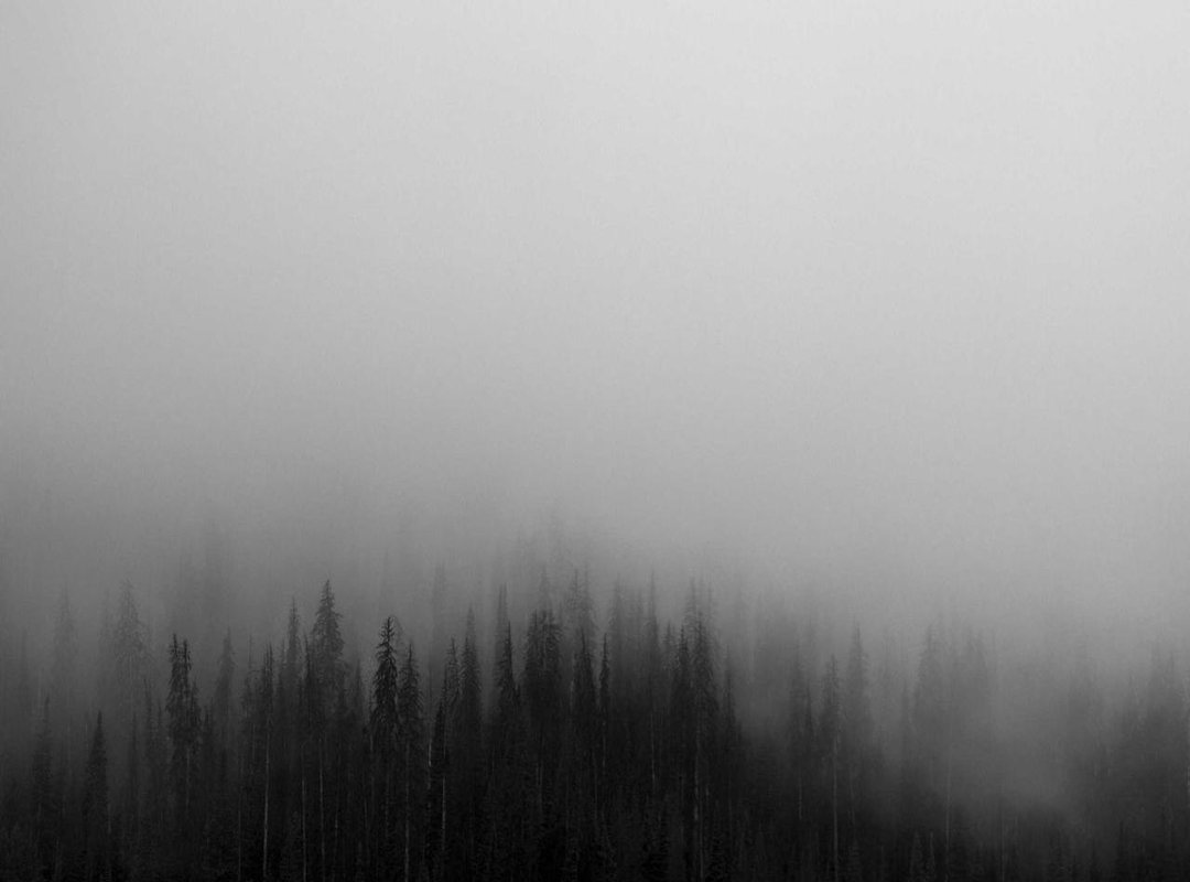 A Look Back: The World You Were Born Into in 1992