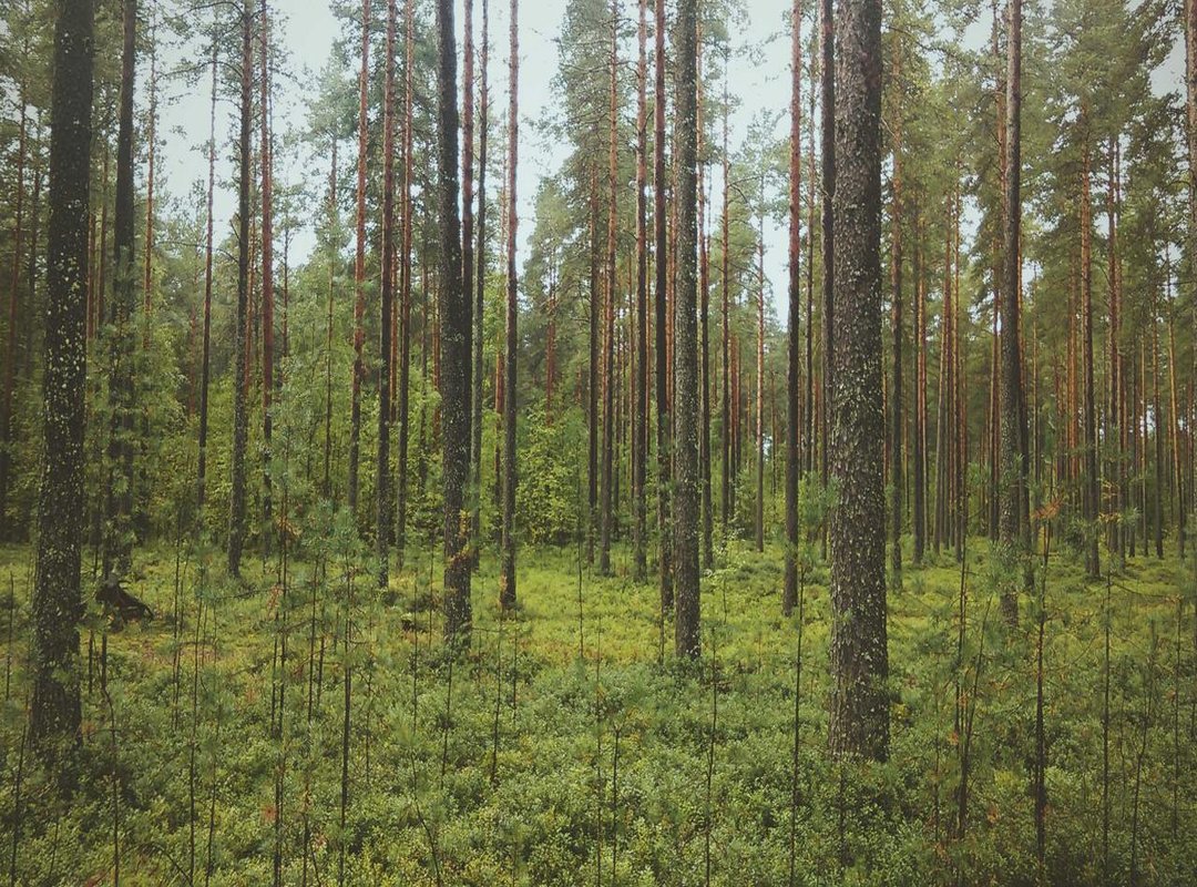 Beyond the Recipe: Essential Cooking and Packaging Hacks