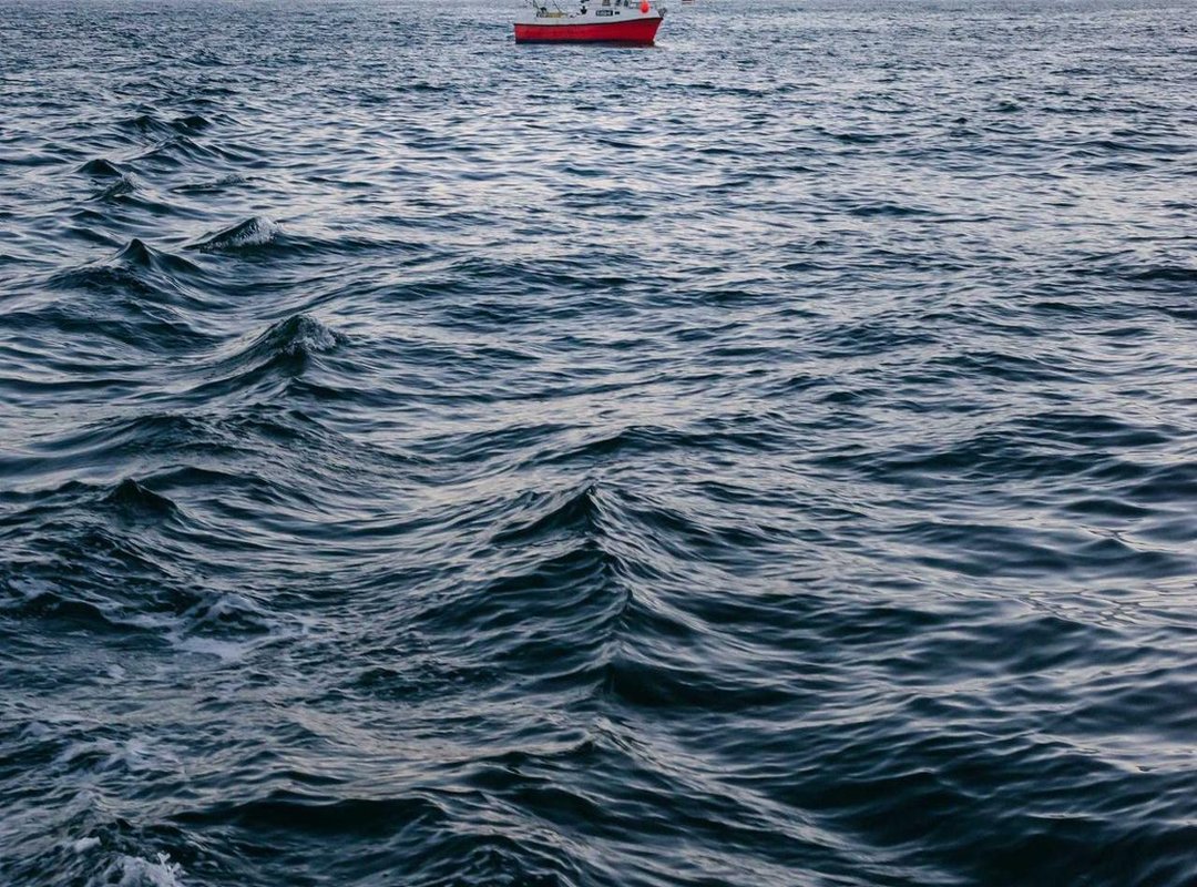 Frequently Asked Questions (FAQs) About Cast Entrevias