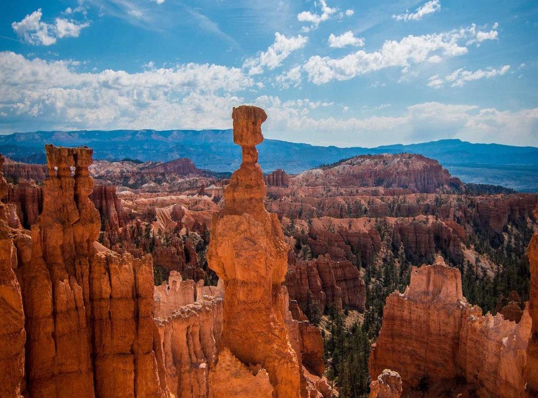 Official Release Details: How to Get Your Copy