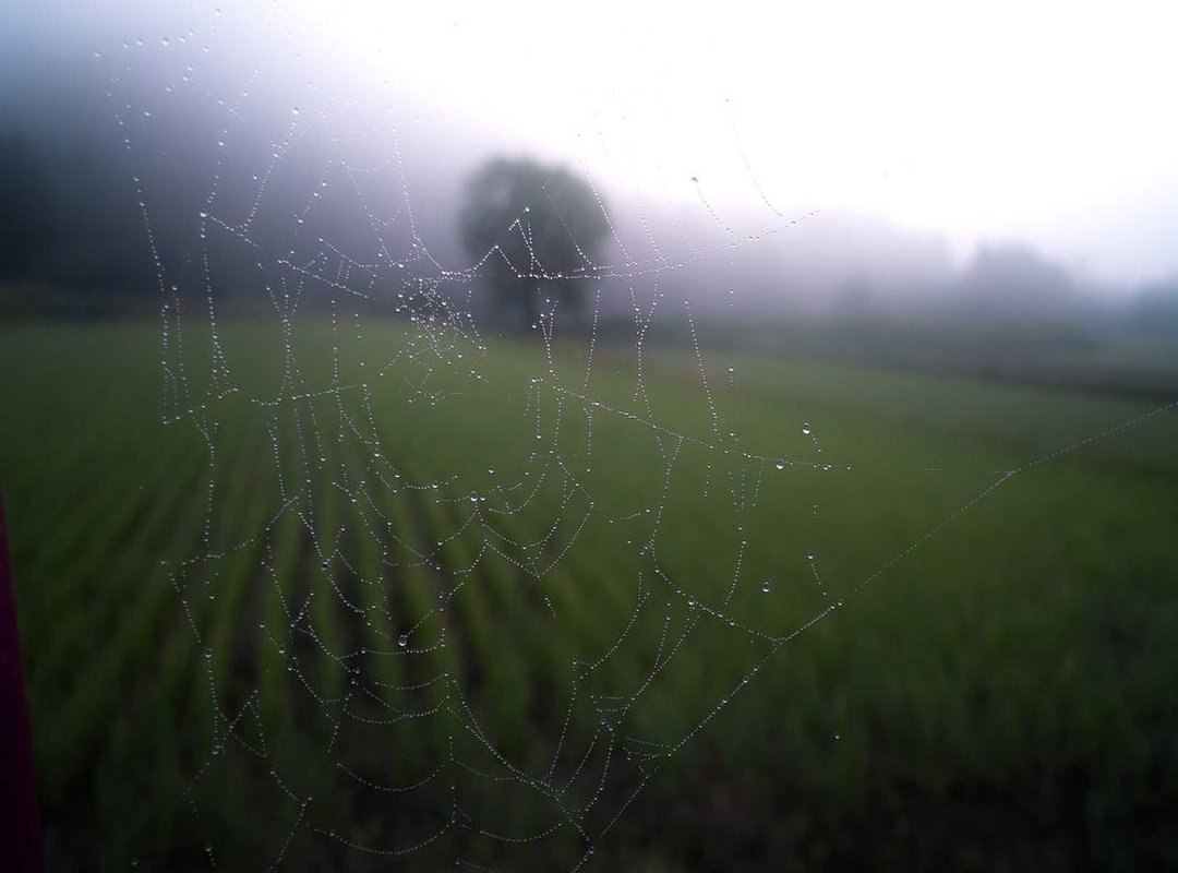 A Look Back: Unforgettable Seasons and Iconic Contestants