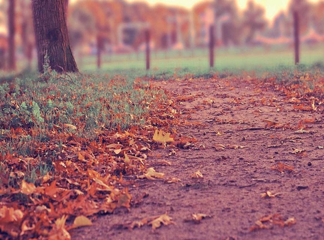 Understanding Your Growth Spurt: What's Happening from Age 12 to 15