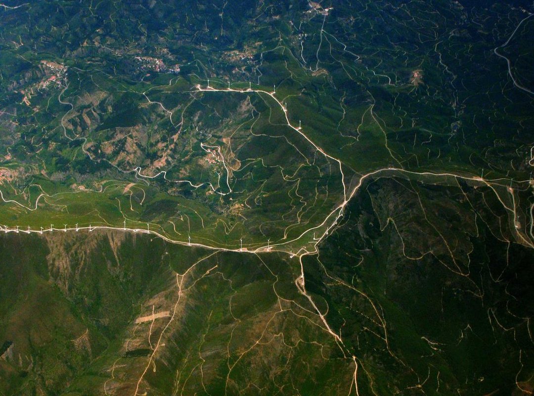 Beyond Height: Key Career Milestones and Achievements