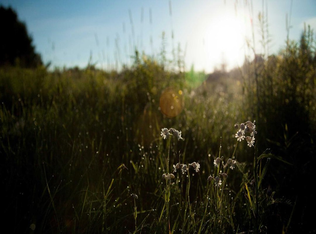 Connect with Your Tribe: Hobby and Lifestyle Groups