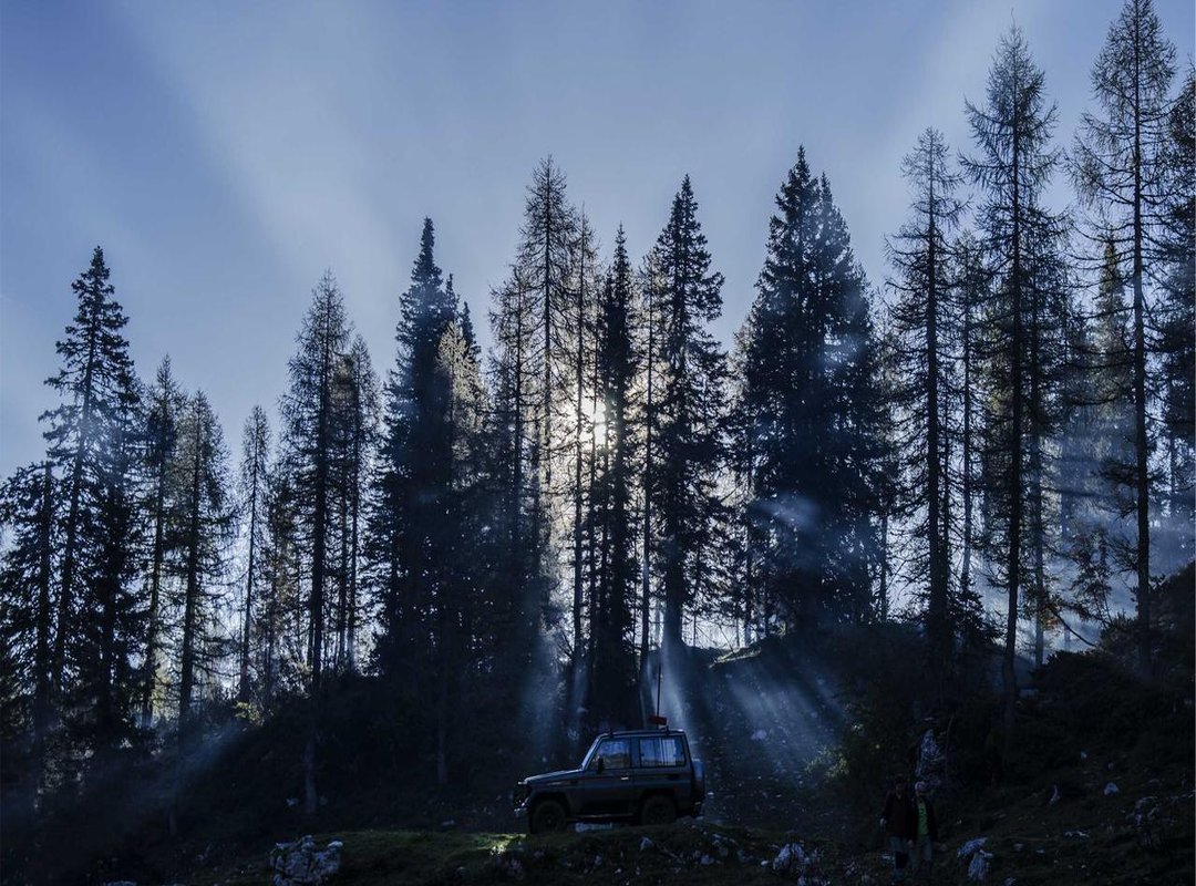 The Public's Fascination: Community, Memes, and Controversy