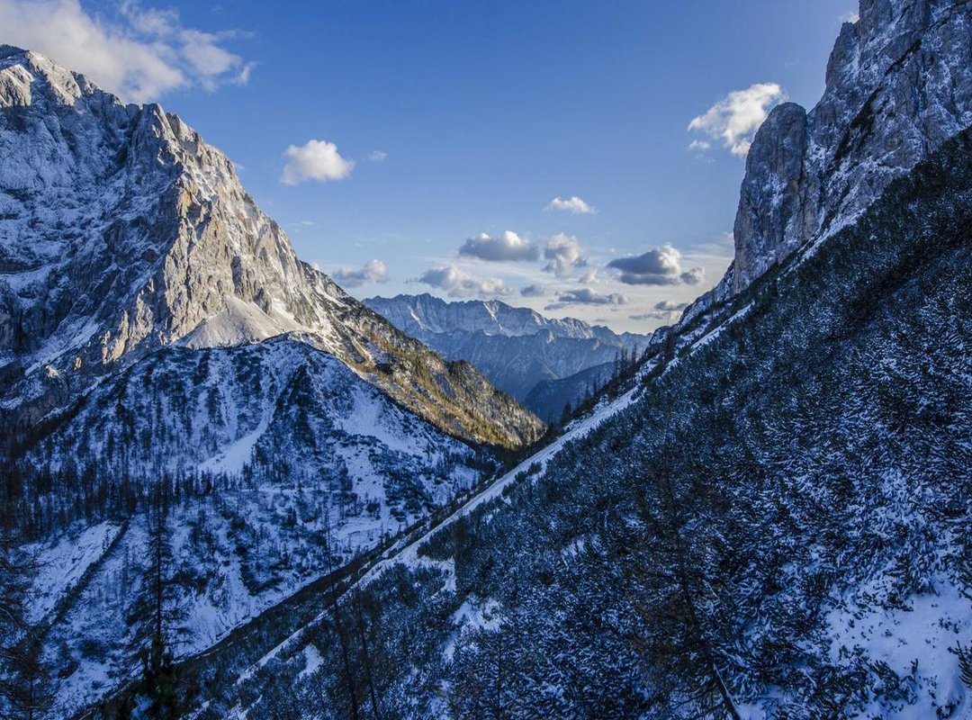 Where to Read Questism: Official vs. Fan-Translated Sources