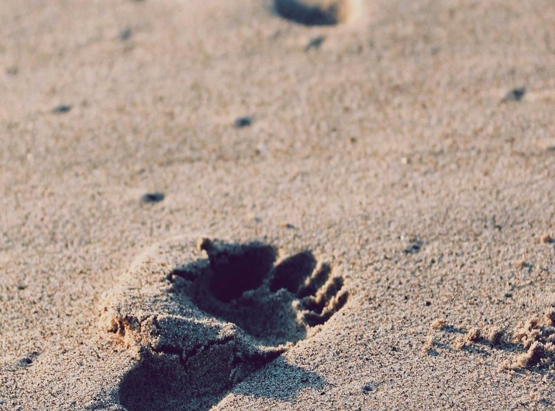 From Concept to Crunch: The sdc.c9m Development Story