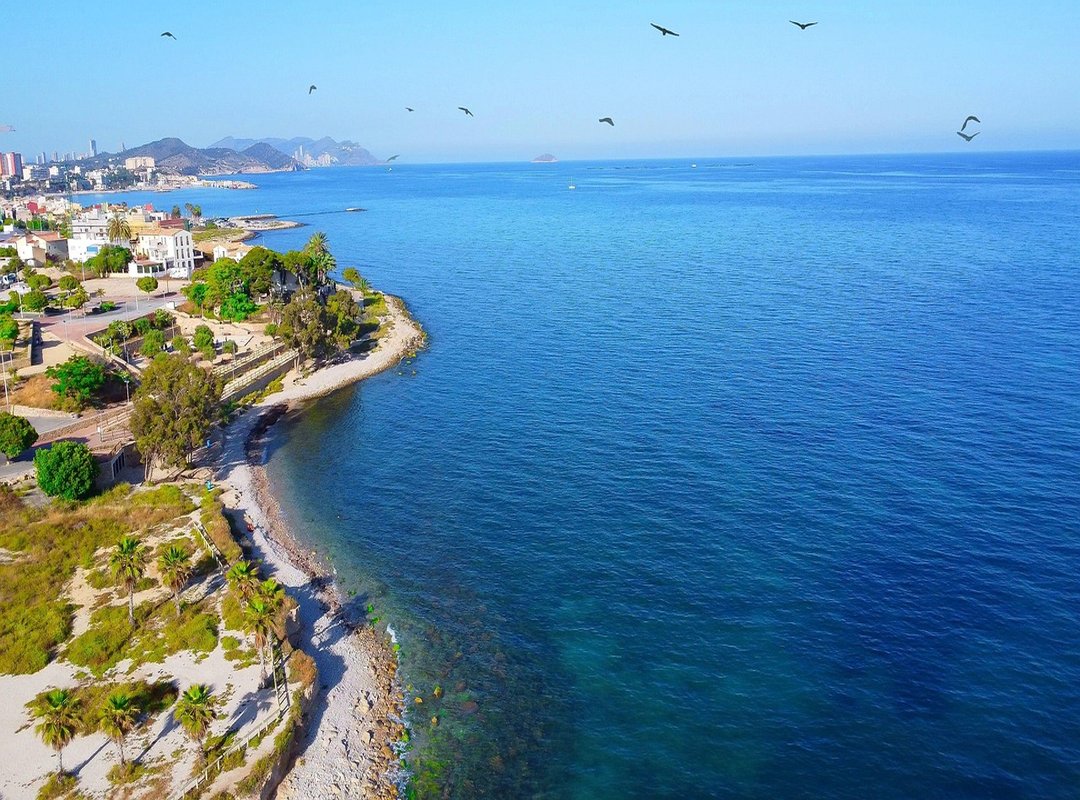 The Honest Pros and Cons of Using Trade 2.0 Proair