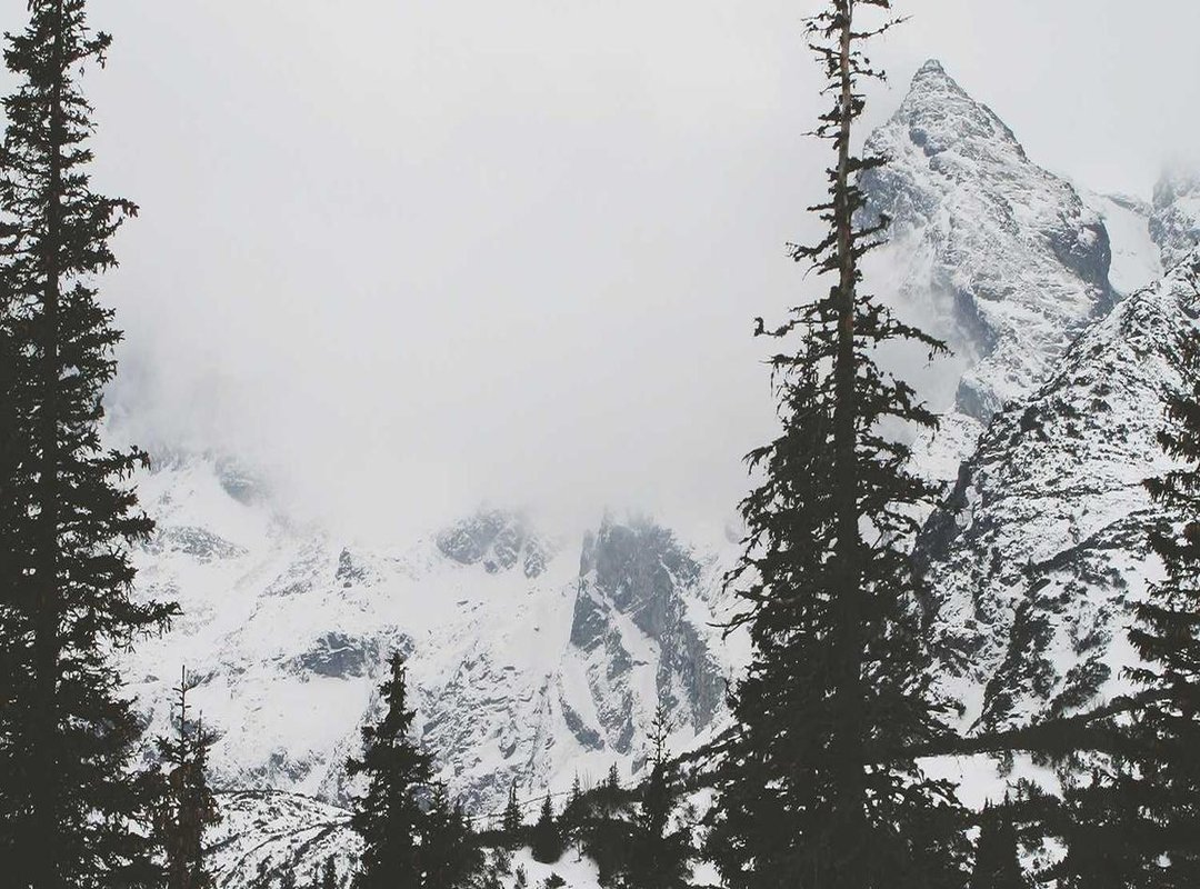 Behind the Scenes: The Controversy and Fan Reaction